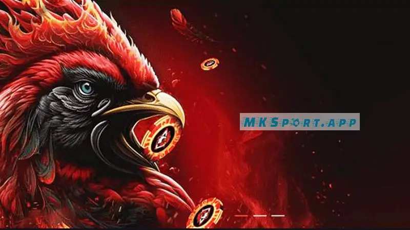 MKsport – Địa chỉ uy tín nhất hiện nay về đá gà mạng
