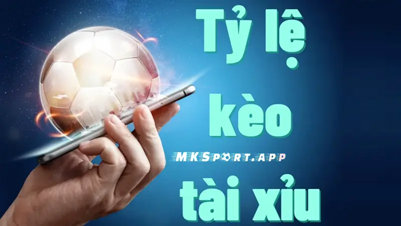 Tìm hiểu chi tiết về kèo tài xỉu và tips đọc kèo